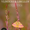 Vlinders en libellen fotograferen